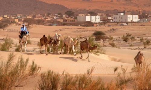 Zdjęcie MAURETANIA / Tagant / Moudjeria / Moudjeria w tle