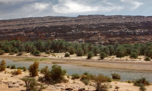 Zdjcie MAURETANIA / Adrar / nad rzek / Wādī Sakallīl