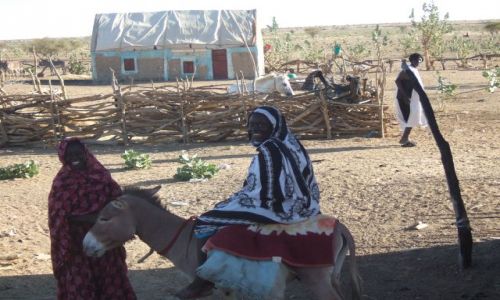Zdjęcie MAURETANIA / - / okolice granicy Mauretani i Mali / Szczęśliwa rodzinka