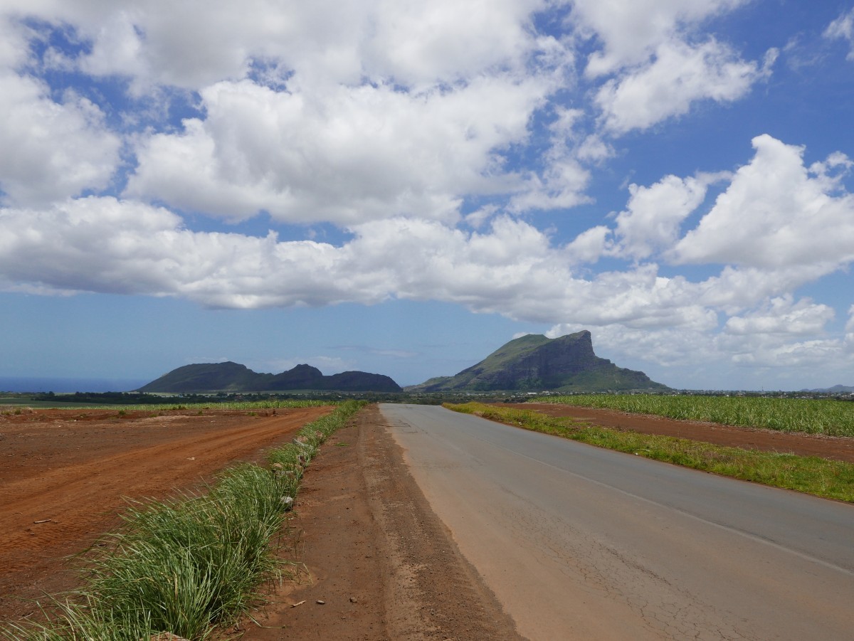 Zdjęcia: Okolice Curepipe, Centrum wyspy, Przy drodze, MAURITIUS Zdjęcia: Okolice Curepipe, Centrum wyspy, Przy drodze, MAURITIUS