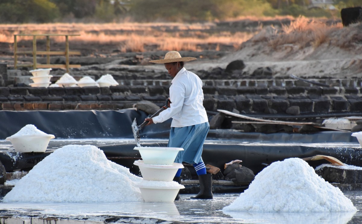 Zdjęcia: okolice Grande Riviere Noire, zachodnie wybrzeże, Zbieraczka soli, MAURITIUS Zdjęcia: okolice Grande Riviere Noire, zachodnie wybrzeże, Zbieraczka soli, MAURITIUS