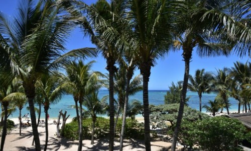Zdjecie MAURITIUS / wchodnie wybrzee / Le Morne / Plaa