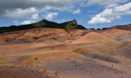 Zdjcie MAURITIUS / zachodnie wybrzee / Chamarel / Kolorowa ziemia z Chamarel