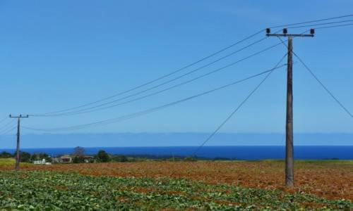 Zdjcie MAURITIUS / wchodnie wybrzee / okolice Pointe du Diable / Bkity