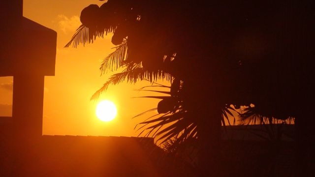 Zdjęcia: Morze Karaibskie_wyspa Cozumel, Jukatan, Karaibskie klimaty, MEKSYK Zdjęcia: Morze Karaibskie_wyspa Cozumel, Jukatan, Karaibskie klimaty, MEKSYK