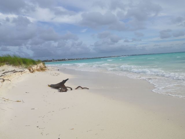 Zdjęcia: okolice Playa del Carmen, Jukatan, Odcienie błękitu, MEKSYK Zdjęcia: okolice Playa del Carmen, Jukatan, Odcienie błękitu, MEKSYK