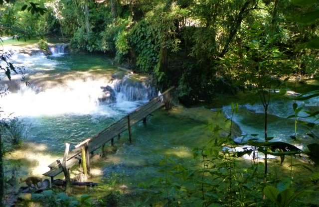 Zdj cia: Selva Lacandona, Chiapas, Selva Lacandona, MEKSYK Zdj cia: Selva Lacandona, Chiapas, Selva Lacandona, MEKSYK