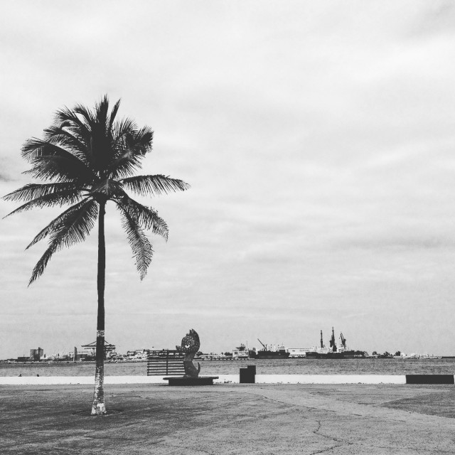 Zdj cia: Puerto de Veracruz, Veracruz, Plaża w Veracruz, MEKSYK Zdj cia: Puerto de Veracruz, Veracruz, Plaża w Veracruz, MEKSYK