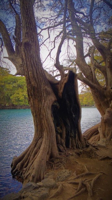 Zdj cia: Zamora, Michoacan, Jezioro Camecuaro, MEKSYK Zdj cia: Zamora, Michoacan, Jezioro Camecuaro, MEKSYK