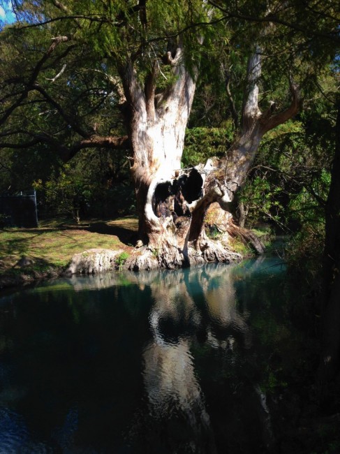 Zdj cia: Zamora, Michoacan, Jezioro Camecuaro, MEKSYK Zdj cia: Zamora, Michoacan, Jezioro Camecuaro, MEKSYK