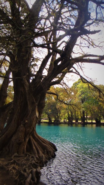 Zdj cia: Zamora, Michoacan, Jezioro Camecuaro, MEKSYK Zdj cia: Zamora, Michoacan, Jezioro Camecuaro, MEKSYK