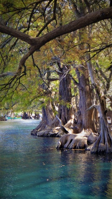 Zdj cia: Zamora, Michoacan, Jezioro Camecuaro, MEKSYK Zdj cia: Zamora, Michoacan, Jezioro Camecuaro, MEKSYK