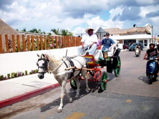 Zdjęcia: Cozumel, Cozumel, Taxi, MEKSYK Zdjęcia: Cozumel, Cozumel, Taxi, MEKSYK