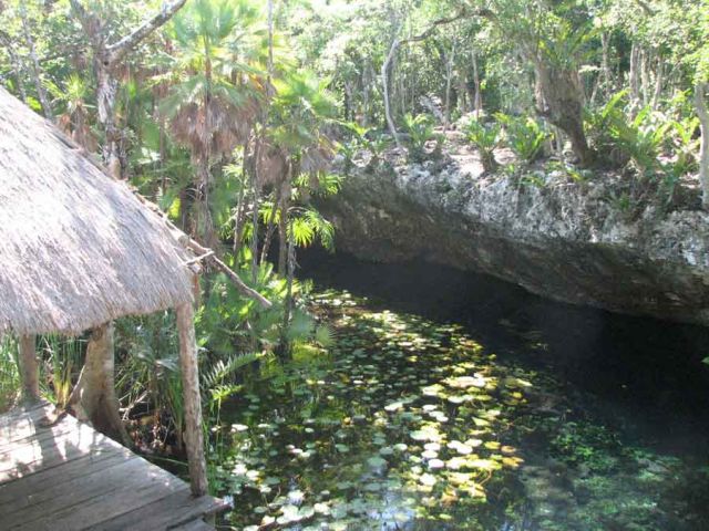 Zdjęcia: okiloce Coba, Riwiera Majów, cenote, MEKSYK Zdjęcia: okiloce Coba, Riwiera Majów, cenote, MEKSYK