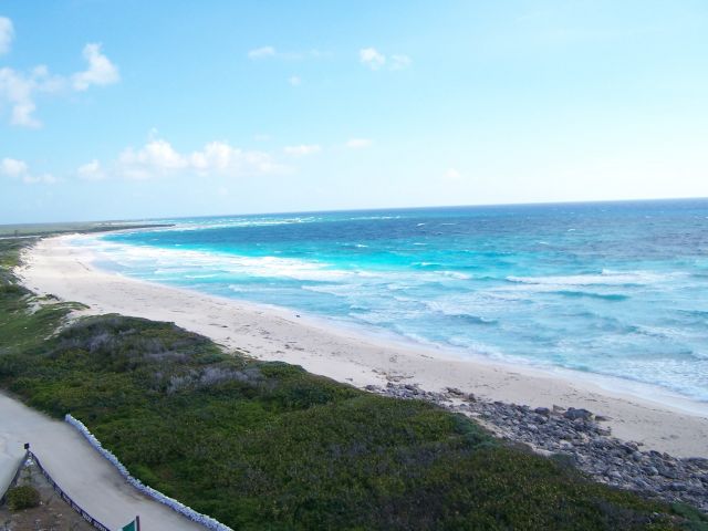 Zdjęcia: cozumel, jucatan, cozumel rezerwat przyrody, MEKSYK Zdjęcia: cozumel, jucatan, cozumel rezerwat przyrody, MEKSYK