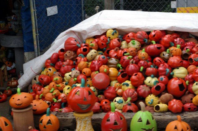 Zdjęcia: Fortin Del La Flores, Veracruz, Dynie, MEKSYK Zdjęcia: Fortin Del La Flores, Veracruz, Dynie, MEKSYK