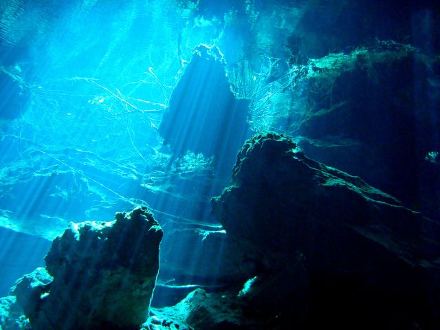 Zdjęcia: Meksyk, Cancun, Meksyk Nurkowanie, MEKSYK Zdjęcia: Meksyk, Cancun, Meksyk Nurkowanie, MEKSYK