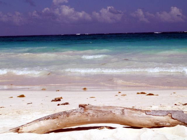 Zdjęcia: Jukatan, Vamos a la playa, MEKSYK Zdjęcia: Jukatan, Vamos a la playa, MEKSYK
