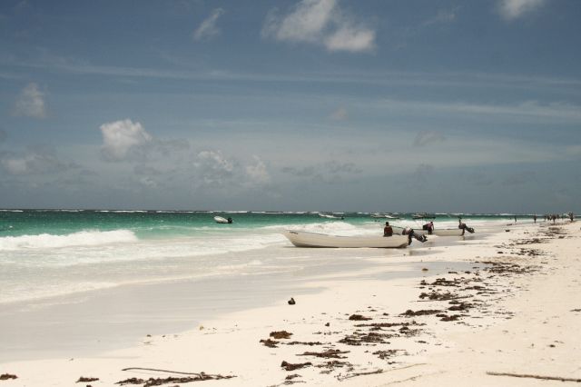 Zdjęcia: Tulum, Yucatan Penisula, plarza w Tulum, MEKSYK Zdjęcia: Tulum, Yucatan Penisula, plarza w Tulum, MEKSYK