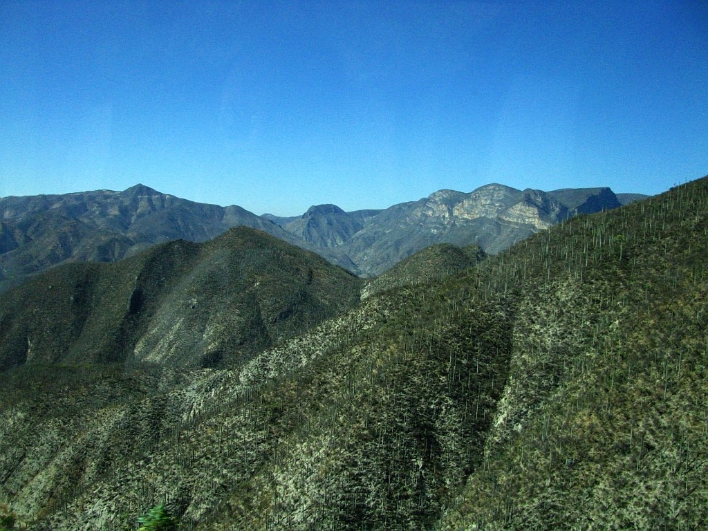 Zdjęcia: Puebla - Oaxaca, stan Oaxaca, Sierra Madre, MEKSYK Zdjęcia: Puebla - Oaxaca, stan Oaxaca, Sierra Madre, MEKSYK