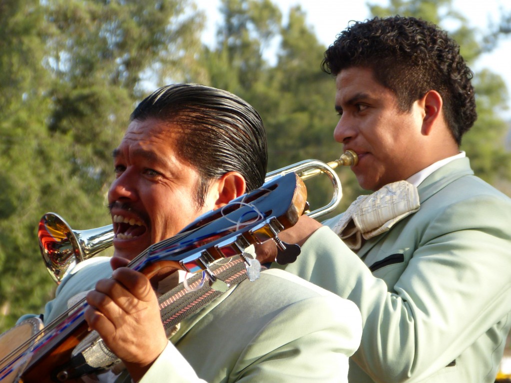 Zdjęcia: Xochimilco, Dystrykt Federalny, Mariachi, MEKSYK Zdjęcia: Xochimilco, Dystrykt Federalny, Mariachi, MEKSYK