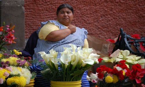 Zdjecie MEKSYK / brak / Oaxaca / Targ w Oaxaca