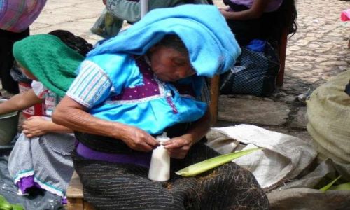Zdjecie MEKSYK / Ciapas / San Cristbal de las Casas / Opiekunka