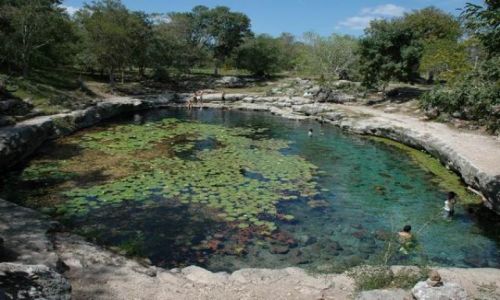 Zdjęcie MEKSYK / Yucatan / Dzibilchaltun / Xlacah cenote Dzibilchaltun