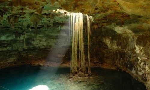 Zdjecie MEKSYK / Yucatan / Cenote Samula / Cenote Samula