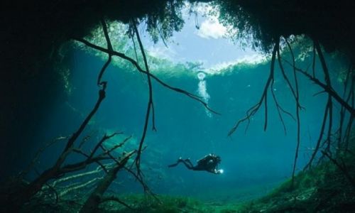 Zdjecie MEKSYK / pwysep Jukatan / Tulum / cenote widok z wody