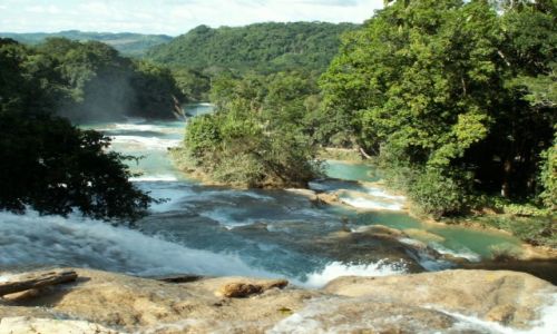Zdjecie MEKSYK / Agua Azul / Agua Azul / Widoczek