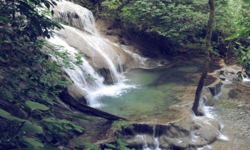Zdjecie MEKSYK / Chiapas / Palenque / 02