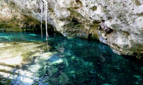 Zdjecie MEKSYK / Jukatan / Coba / Gran Cenote- sodka woda o turkusowym kolorze