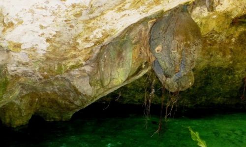Zdjecie MEKSYK / Jukatan / Coba / wyrzezbione przez wod- Gowa Konia w Gran Cenote