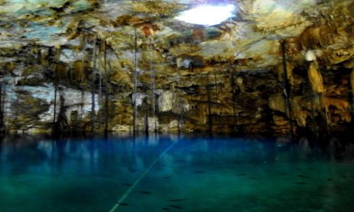 Zdj�cie MEKSYK / Jukatan / Cenote Dzitnup / tu p�ywa si� z rybami i ��wiami, a nad g�ow� 