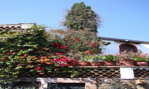 Zdjęcie MEKSYK / okolice Ciudad de Mexico / Taxco / ulice Taxco