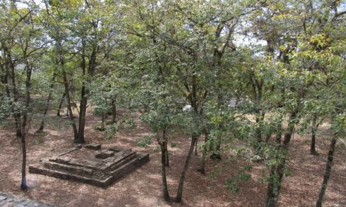 Zdjęcie MEKSYK / Chiapas / okolice Comitan / meksyk08