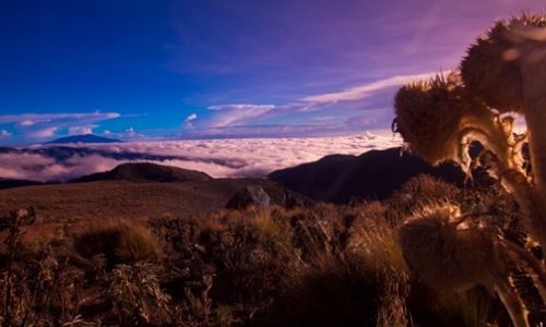 Zdjcie MEKSYK /  Pico de Orizaba /  Pico de Orizaba / widok ze stoku Pico de Orizaba