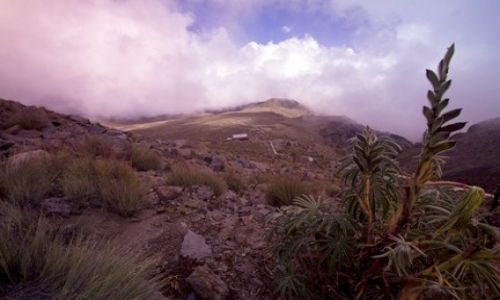 Zdjcie MEKSYK / Pico de Orizabe / Pico de Orizabe / na stoku wulkanu Orizaba
