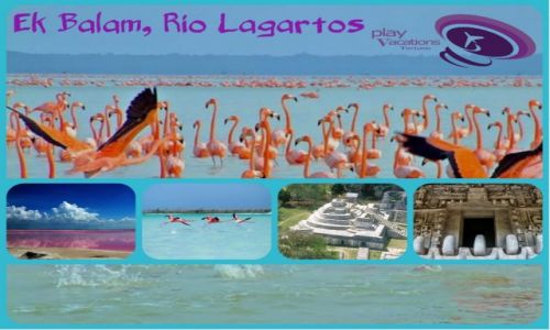Zdjecie MEKSYK / Jukatan / Ek Balam Rio Lagartos / Ek Balam Rio Lagartos