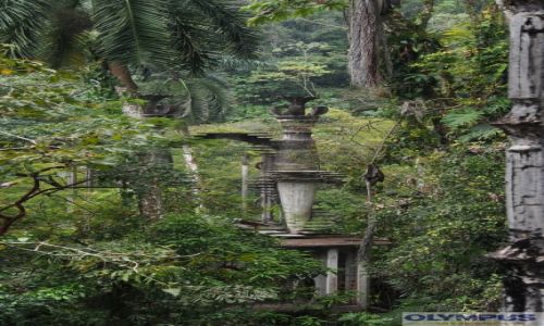 Zdjęcie MEKSYK / La Huasteca / Xilitla / Edward James Las Pozas
