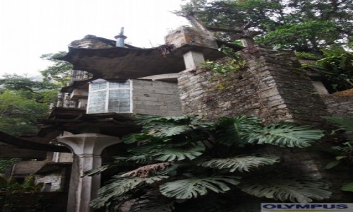 Zdjęcie MEKSYK / La Huasteca / Xilitla / Edward James Las Pozas