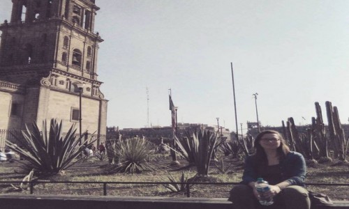 Zdjecie MEKSYK / Mexico City / Mexico City / prof