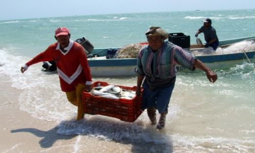 Zdjęcie MEKSYK / Jukatan / Celestum / Udany połów