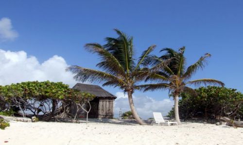 Zdjecie MEKSYK / Jukatan / Tulum / Tanie noclegi