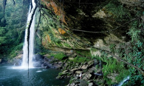 Zdjecie MEKSYK / Chiapas / okolice  Palenque / La cascada de Misol-Ha
