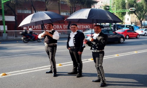 Zdjęcie MEKSYK / Mexio City / okolice  Plaza Garibaldi / Chroniąc się przed słońcem