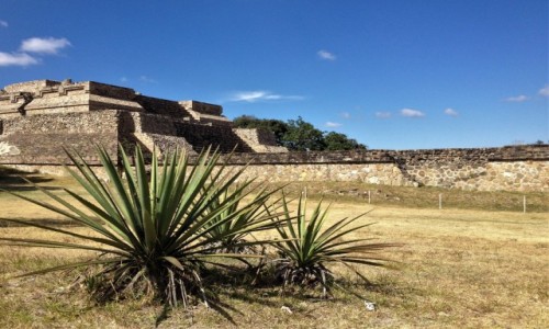 Zdjęcie MEKSYK / Oaxaca / Monte Alban / Monte Alban
