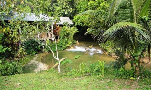 Zdjęcie MEKSYK / Chiapas / Lacandona / Selva Lacandona - Meksyk w stanie Chiapas
