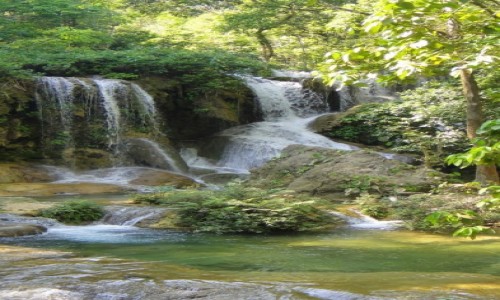 Zdjęcie MEKSYK / Chiapas / Lacandona / Lacandona - dżungla w Meksyku